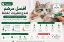 أفضل مرهم لعلاج فطريات القطط