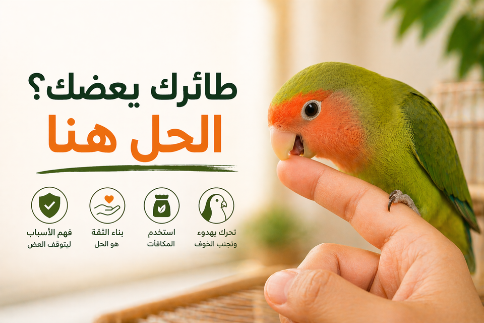 كيف تخلي الطير ما يعض