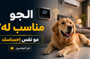 درجة الحرارة المناسبة للكلاب داخل البيت: هل جو بيتك فعلاً مريح لكلبك؟