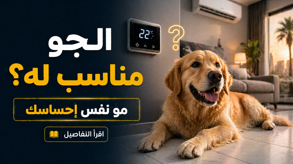 درجة الحرارة المناسبة للكلاب داخل البيت: هل جو بيتك فعلاً مريح لكلبك؟