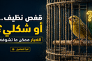 تنظيف قفص الطيور من الغبار: هل طريقتك الحالية فعلاً تحمي طيرك؟