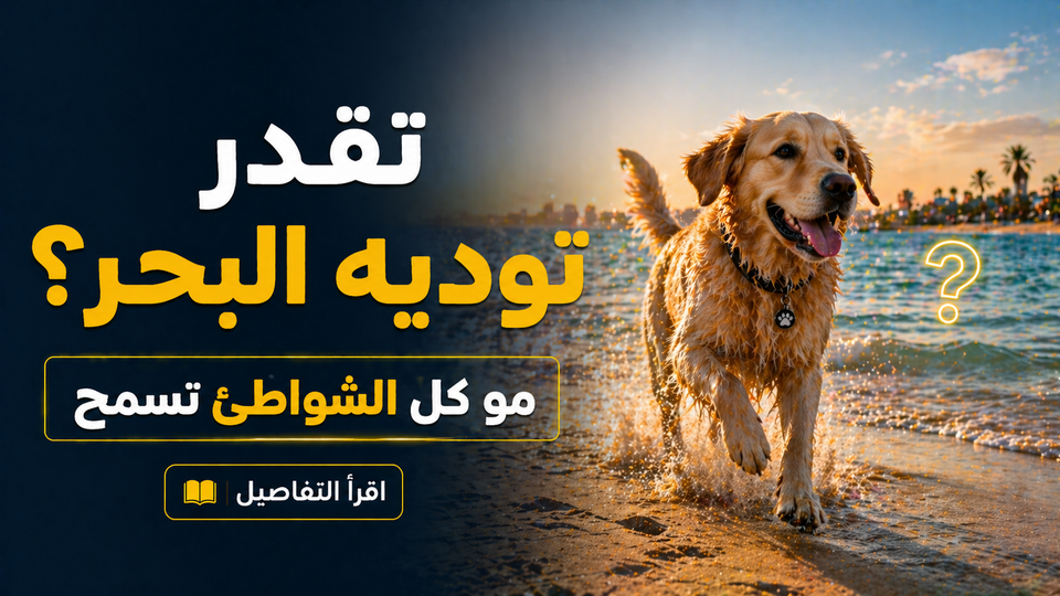 شواطئ مسموح فيها الكلاب في السعودية: هل فعلاً تقدر تخلي كلبك يسبح؟