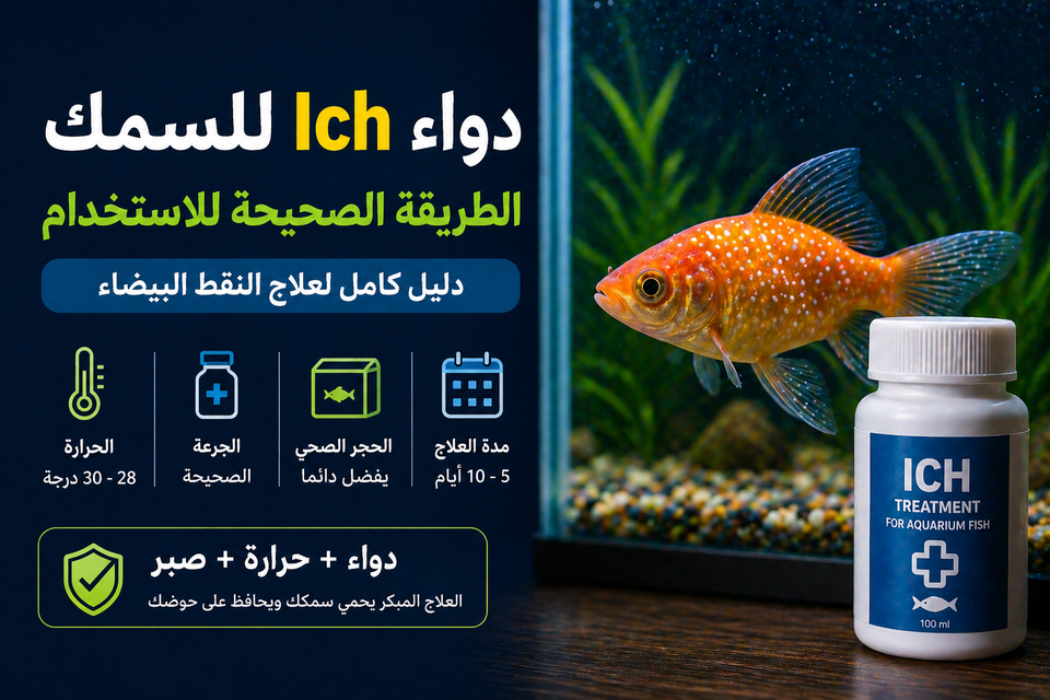 دواء Ich للسمك: الطريقة الصحيحة للاستخدام (دليل كامل لعلاج النقط البيضاء)