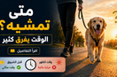أفضل وقت لمشي الكلب في الصيف: هل التوقيت فعلاً يفرق لهذه الدرجة؟