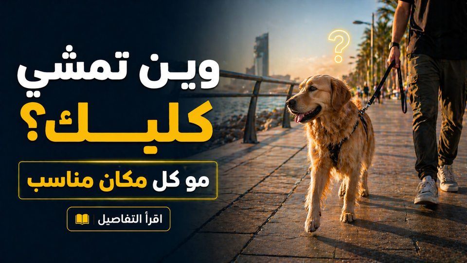 أماكن مشي الكلاب في جدة: هل كل مكان مفتوح يناسب كلبك؟