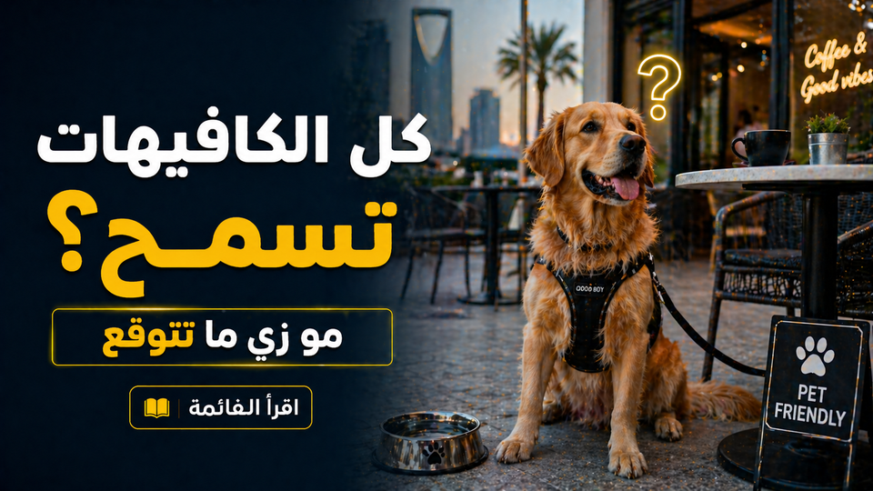 كافيهات تسمح بالحيوانات الأليفة في الرياض: هل كل الأماكن فعلاً ترحب بكلبك؟
