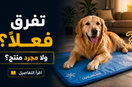 مبردات ومفارش تبريد الكلاب: هل فعلاً تفرق مع كلبك في الحر؟