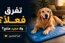 مبردات ومفارش تبريد الكلاب: هل فعلاً تفرق مع كلبك في الحر؟
