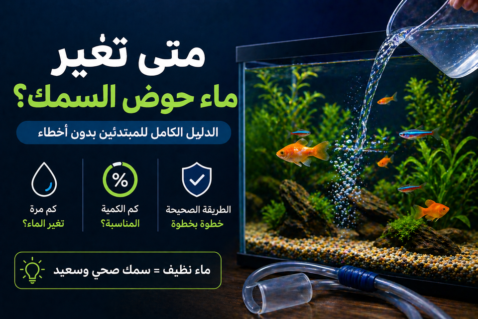 متى تغير ماء حوض السمك؟ (الدليل الكامل للمبتدئين بدون أخطاء)