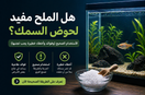 هل الملح مفيد لحوض السمك؟ الاستخدام الصحيح (وفوائد وأخطاء خطيرة يجب تجنبها)