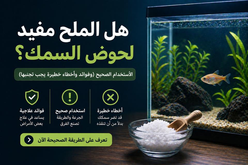 هل الملح مفيد لحوض السمك؟ الاستخدام الصحيح (وفوائد وأخطاء خطيرة يجب تجنبها)