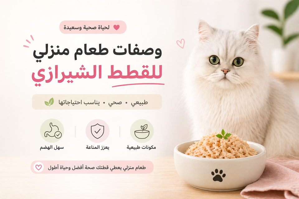 وصفات للقطط الشيرازية