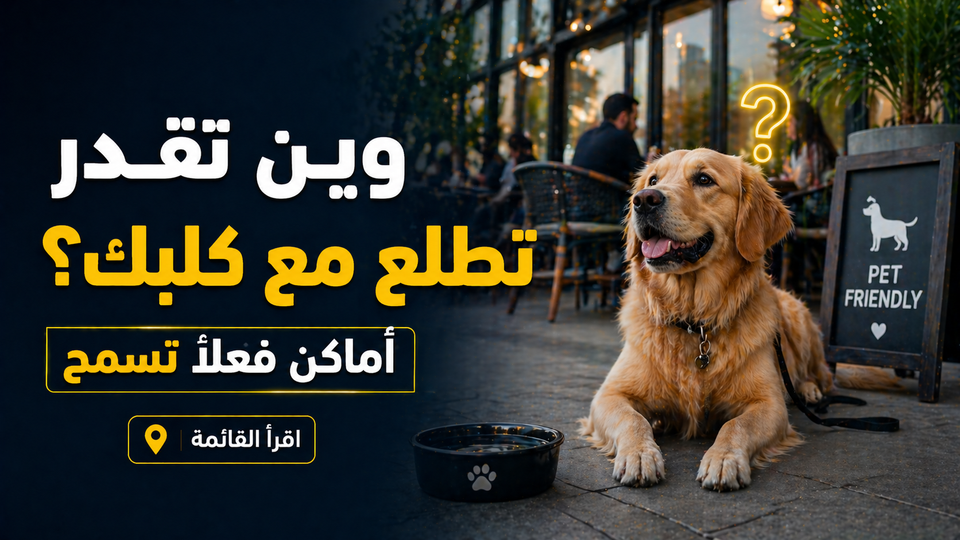 أماكن مسموح دخول الكلاب فيها في الرياض وجدة: وين تقدر تطلع مع كلبك بدون إحراج؟