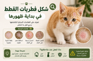 شكل فطريات القطط