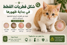 شكل فطريات القطط