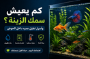 كم يعيش سمك الزينة؟ وكيف تطيل عمره داخل الحوض