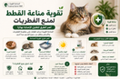 تقوية مناعة القطط لمنع الفطريات