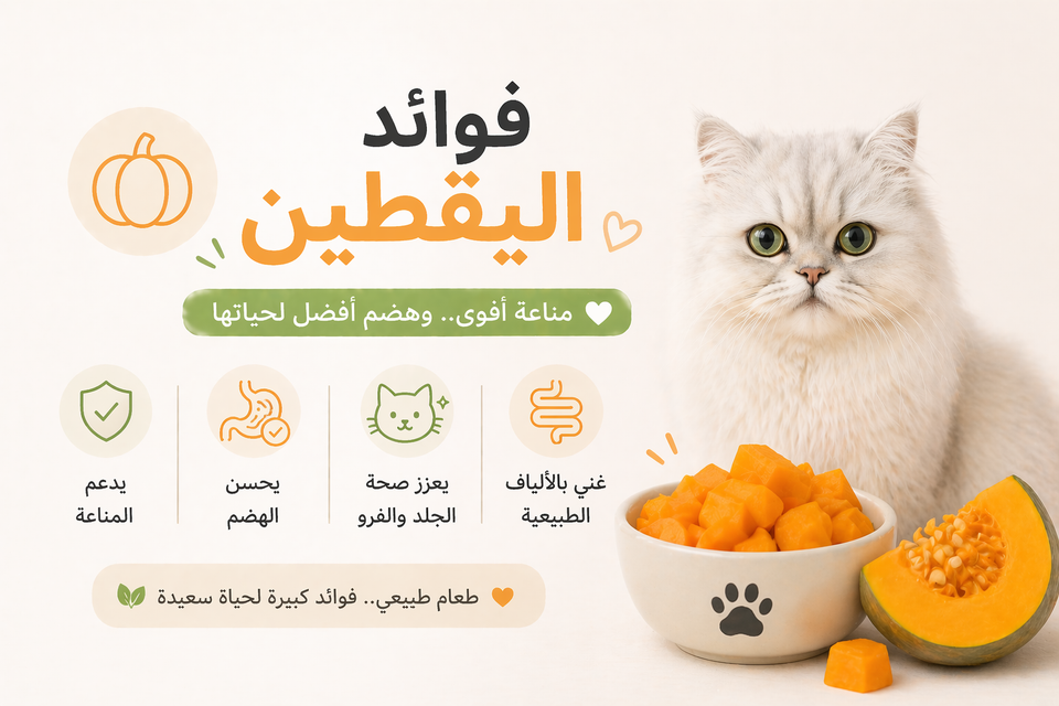 حل امساك القطط مع اليقطين