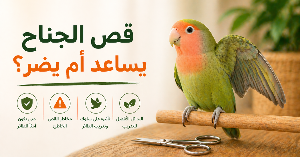 قص جنحان طيور الروز
