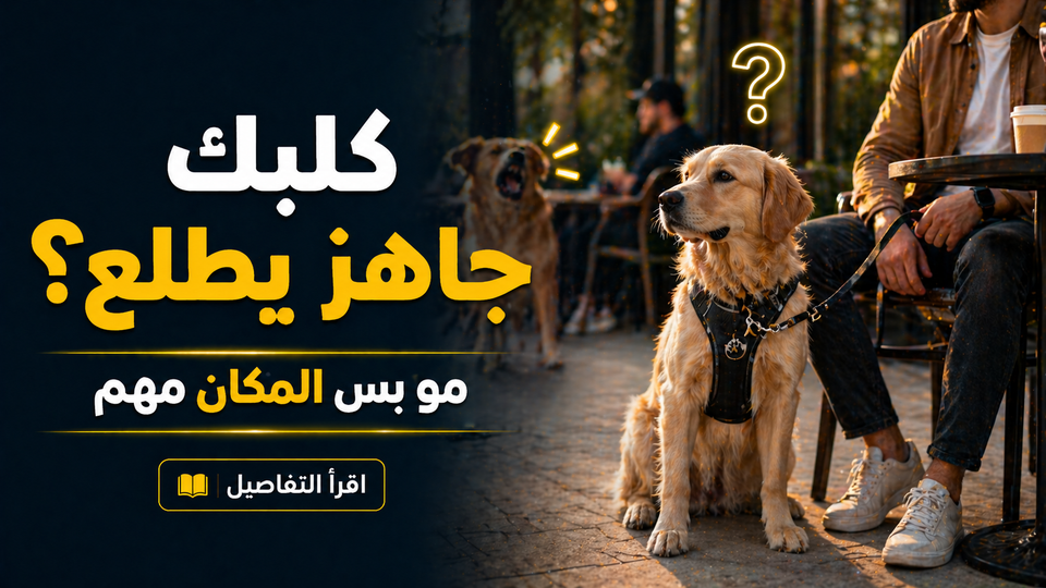 إتيكيت اصطحاب الكلب في الأماكن العامة: هل كلبك جاهز فعلاً يطلع معك؟