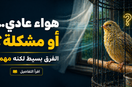 هل تيارات الهواء تضر الطيور؟ أشياء بسيطة ممكن ما انتبهت لها