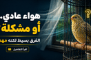 هل تيارات الهواء تضر الطيور؟ أشياء بسيطة ممكن ما انتبهت لها