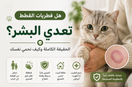 هل فطريات القطط تعدي البشر