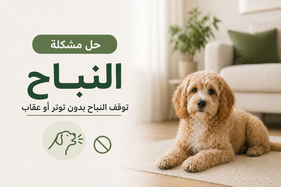 حل مشكلة النباح للكلاب 