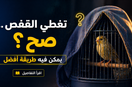 هل تغطية القفص في الليل مفيدة فعلاً؟ تفاصيل بسيطة ممكن تغيّر راحة طيرك