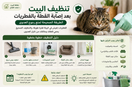 تنظيف البيت بعد إصابة القطة بالفطريات