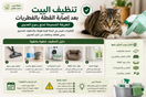 تنظيف البيت بعد إصابة القطة بالفطريات