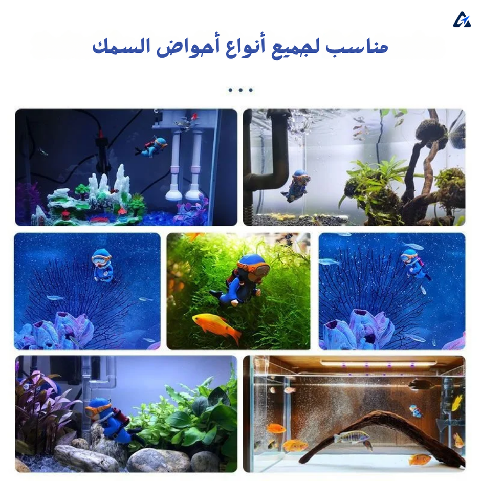 زينة حوض سمك – 10 تصاميم للاختيار من بينها
