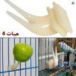 شوكة فاكهة للطيور – حامل طعام بلاستيكي للببغاوات والبادجي