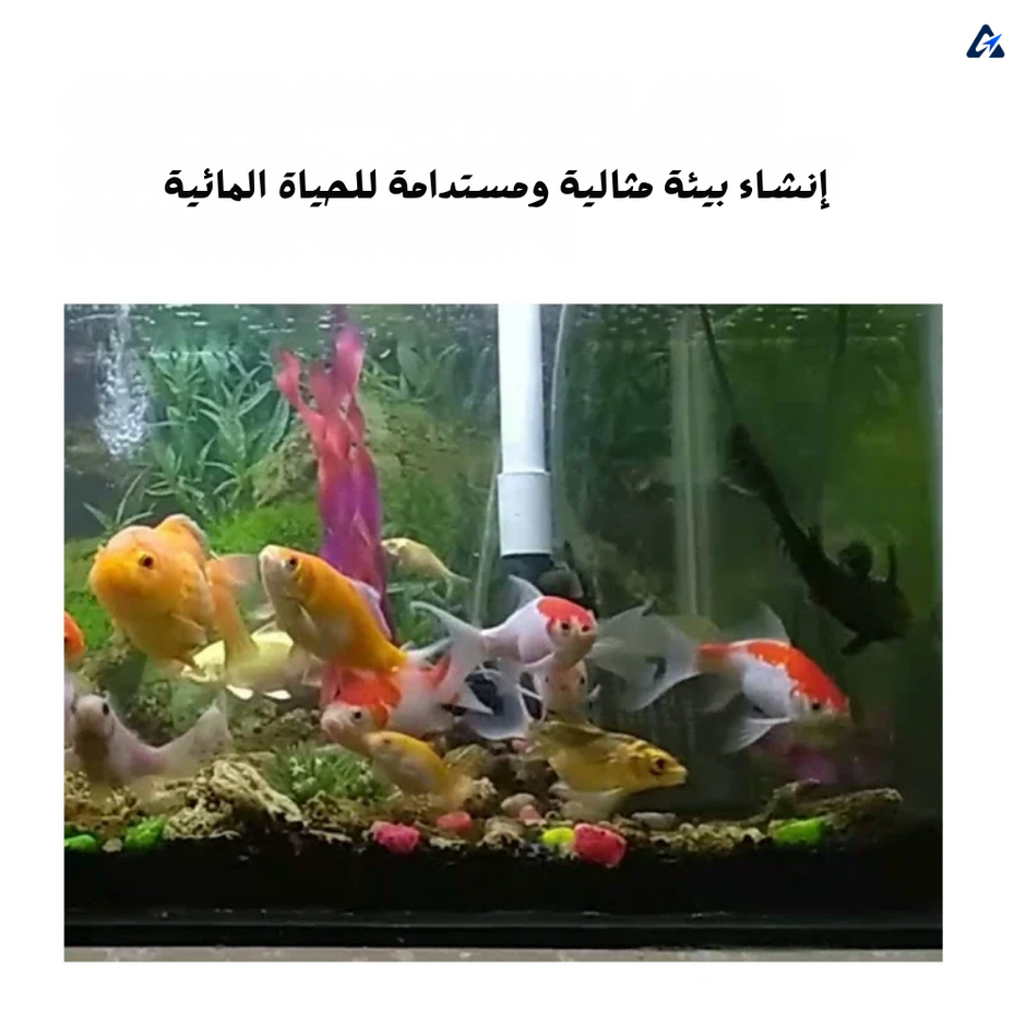 أقراص مكيّف مياه أحواض السمك – مزيل الكلور لأحواض الأسماك | زجاجة أو زجاجتان
