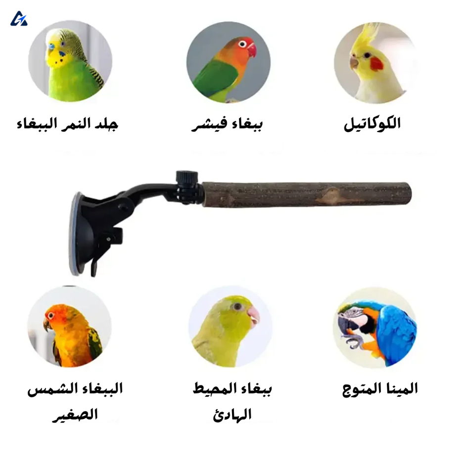 حامل مجثم نافذة للطيور مزود بأكواب شفط - خشب طبيعي للطيور الصغيرة والمتوسطة الحجم