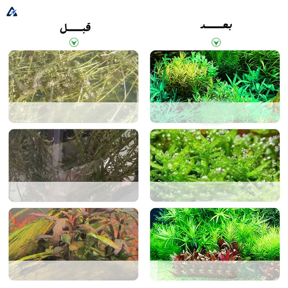 نظام توليد ثاني أكسيد الكربون لأحواض السمك - طقم أسطوانة من الفولاذ المقاوم للصدأ لأحواض النباتات 1 لتر/2 لتر