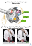 خلاط يدوي BioloMix 4-in-1 بقوة 1200W – 6 سرعات، مع كوب تقطيع وكوب خلط وخفاقة