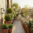 Garden irrigation system with multiple nozzles watering plants, shown in a collage format.