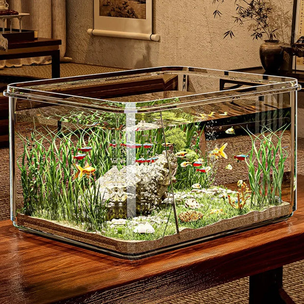 Fish tank with fish and plants on a wooden table