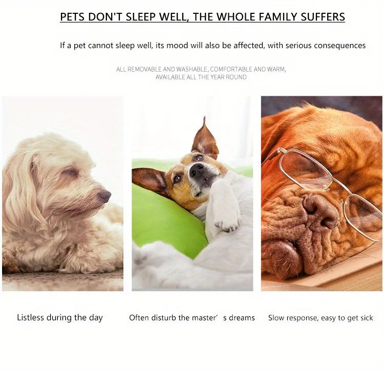 Three dogs with text about pet sleep quality and its impact on families.