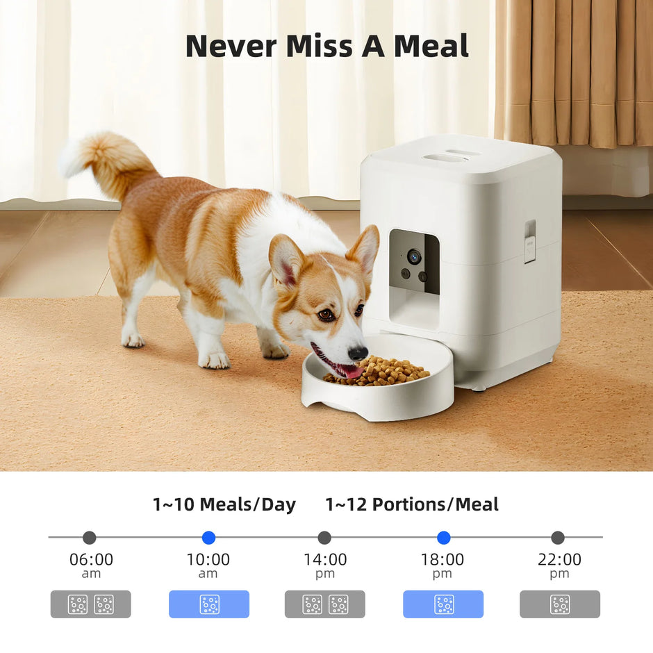 Dog eating from a bowl next to an automatic pet feeder with feeding schedule details.