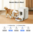 Dog eating from a bowl next to an automatic pet feeder with feeding schedule details.