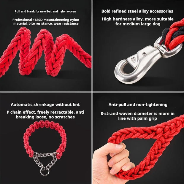 Red dog leash with metal clip and features listed on a black background