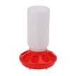 Red and white plastic chicken feeder on a white background