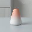 Gradient ceramic vase transitioning from pink to white on a neutral background