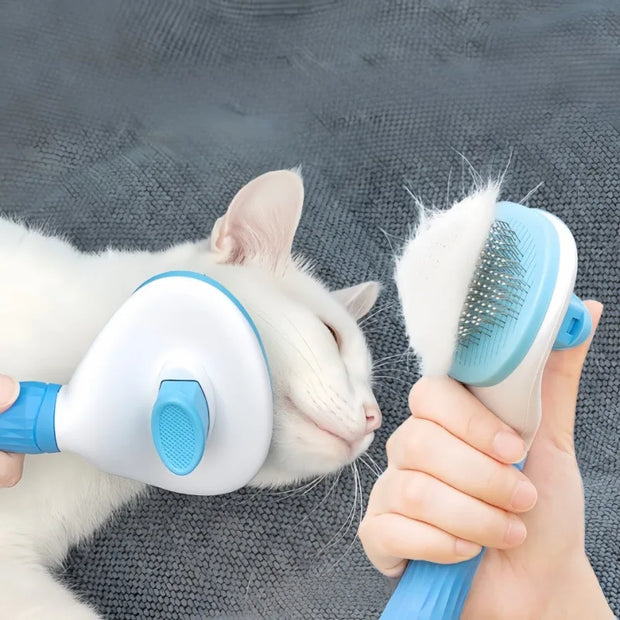 Person using a pet grooming brush on a white cat with a gray background
