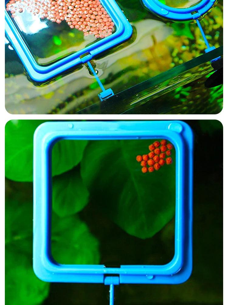 Blue rectangular mirror with reflective surface on a green leaf background