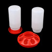 Two white plastic poultry feeders with red bases on a black background