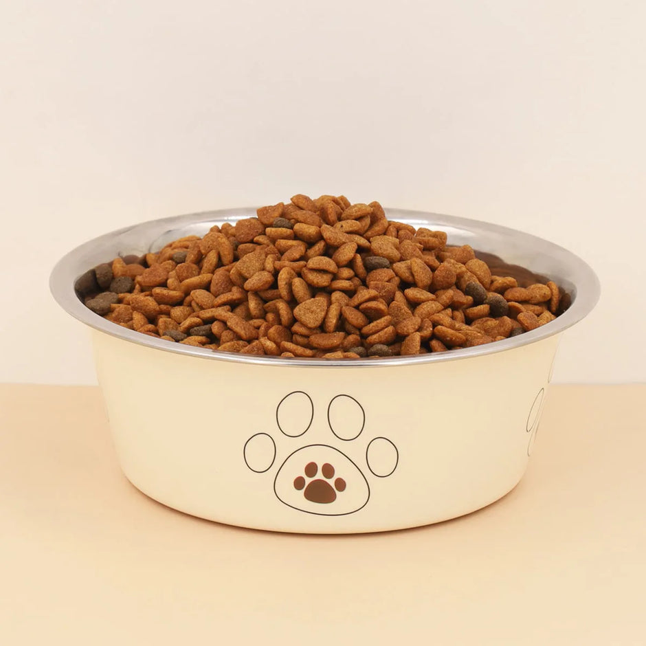 Dog food bowl with kibble and paw print design on a beige background