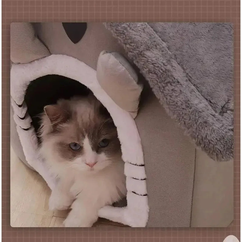 Cat peeking out from a cat house with a soft texture